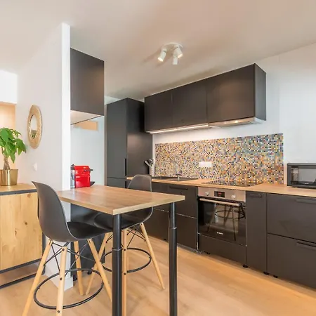 Apartment Spacious With Balcony And Parking La Madeleine (Nord)
